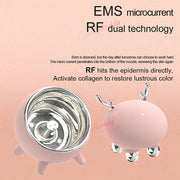 EMS Facial Massager: RF LED Therapy & Skin Tightening